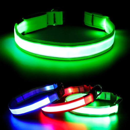 Safety & Visibility Light-Up Dog Collar