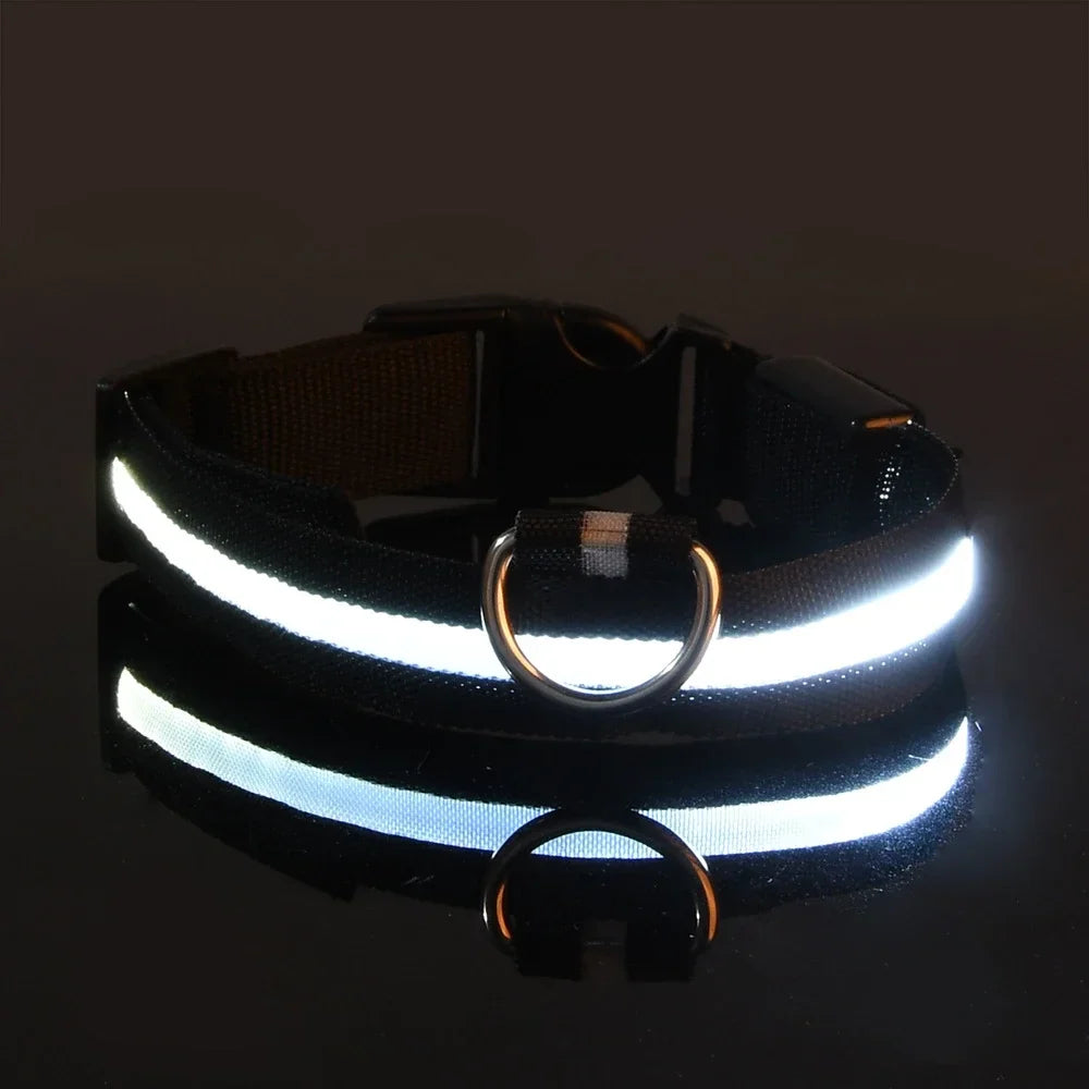 Safety & Visibility Light-Up Dog Collar