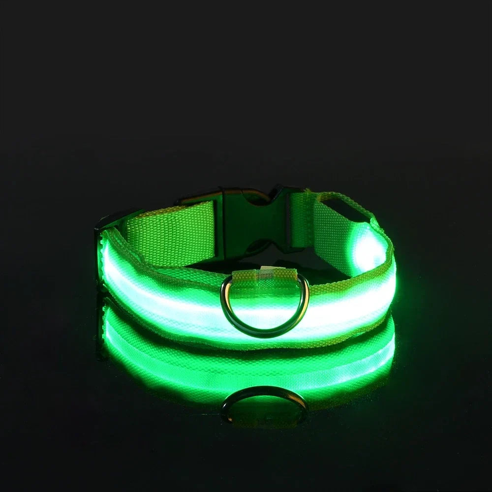 Safety & Visibility Light-Up Dog Collar