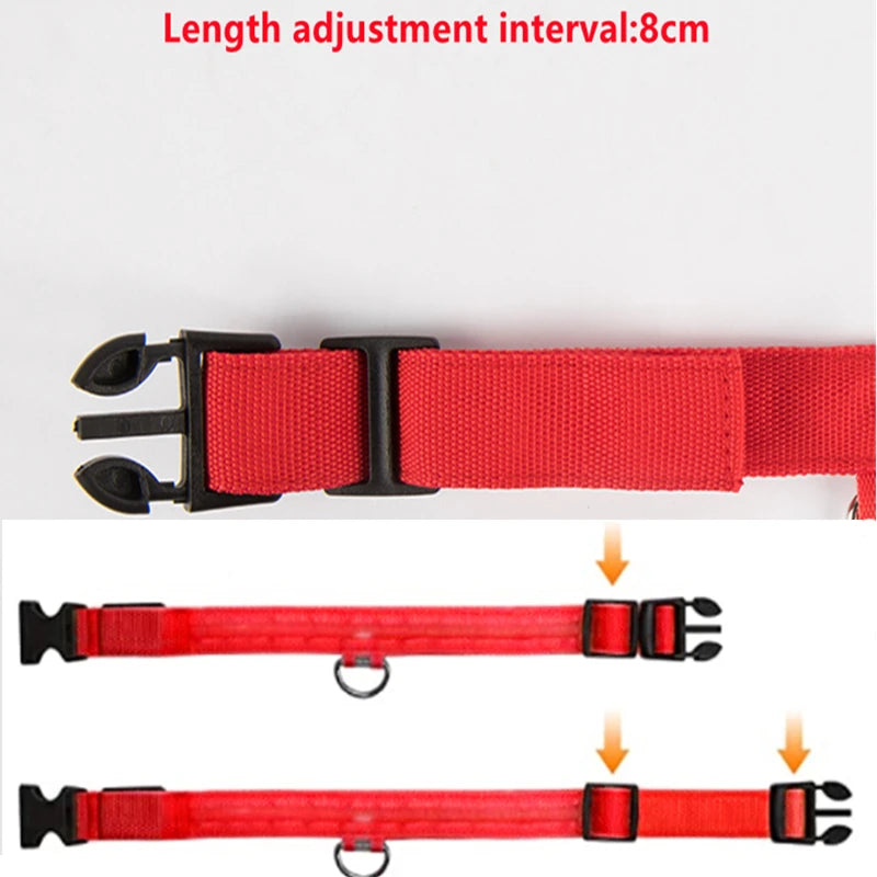 Safety & Visibility Light-Up Dog Collar