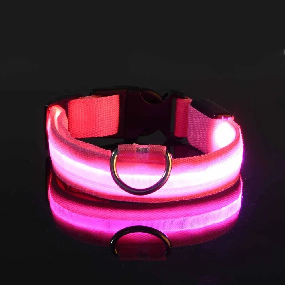 Safety & Visibility Light-Up Dog Collar